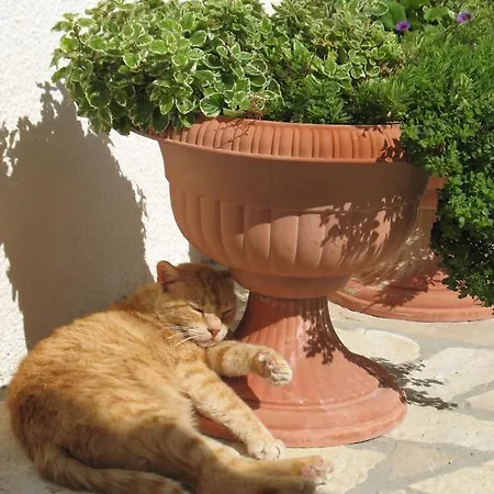 Apartment Vera Pag Town