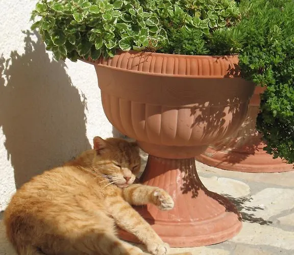 아파트 Vera 파그